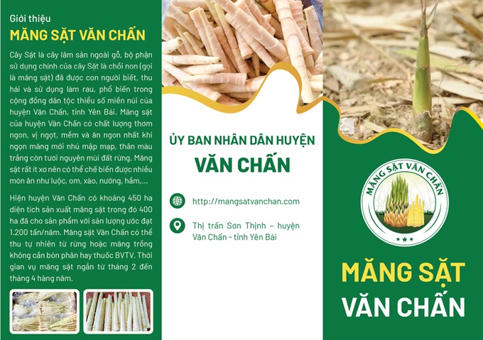 Hệ thống nhận diện